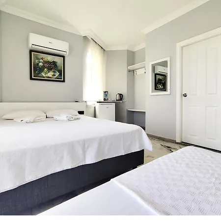 Sav-ir 3* 阿拉尼亚